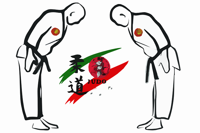 Pourquoi salut-on au Judo